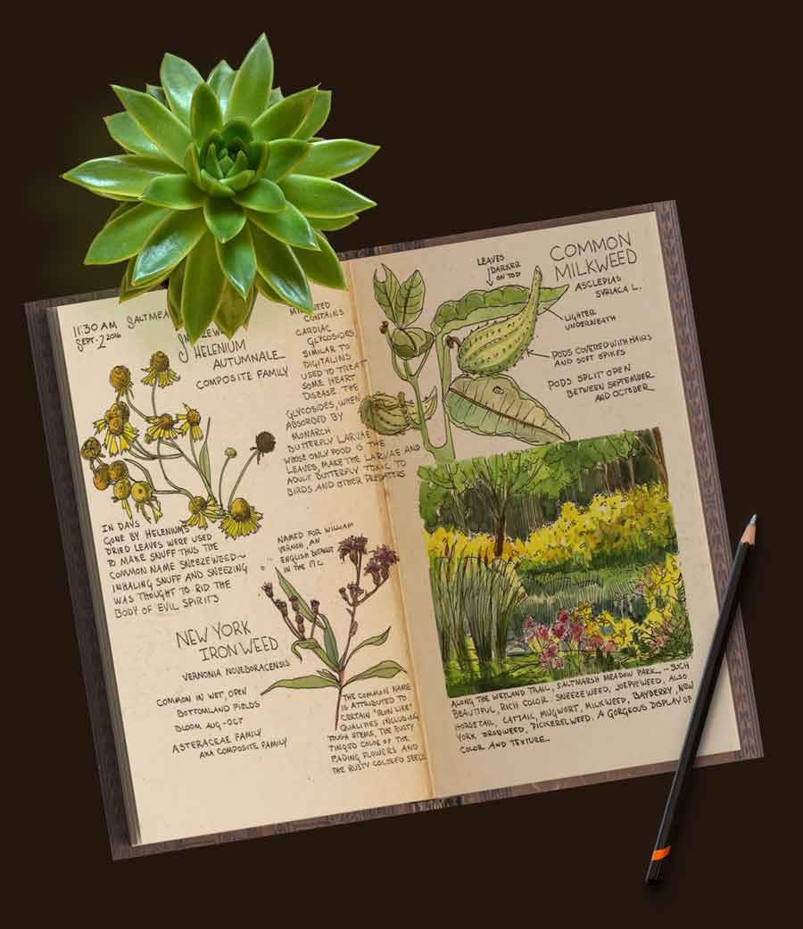 A Nature Art Journal: What's in your nature journal bag…