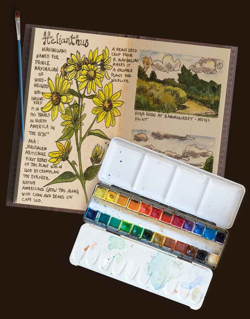 Nature-Journaling-Jan-Blencowe-5